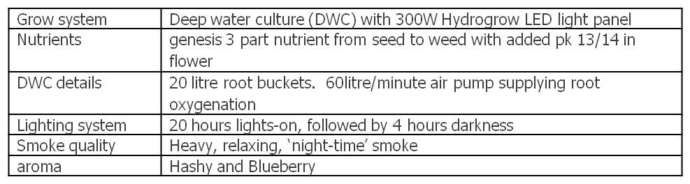 Data table summary of grow AutoBlueberry