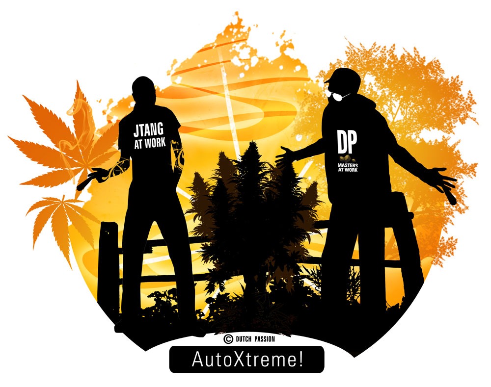 AutoXtreme review by JTang