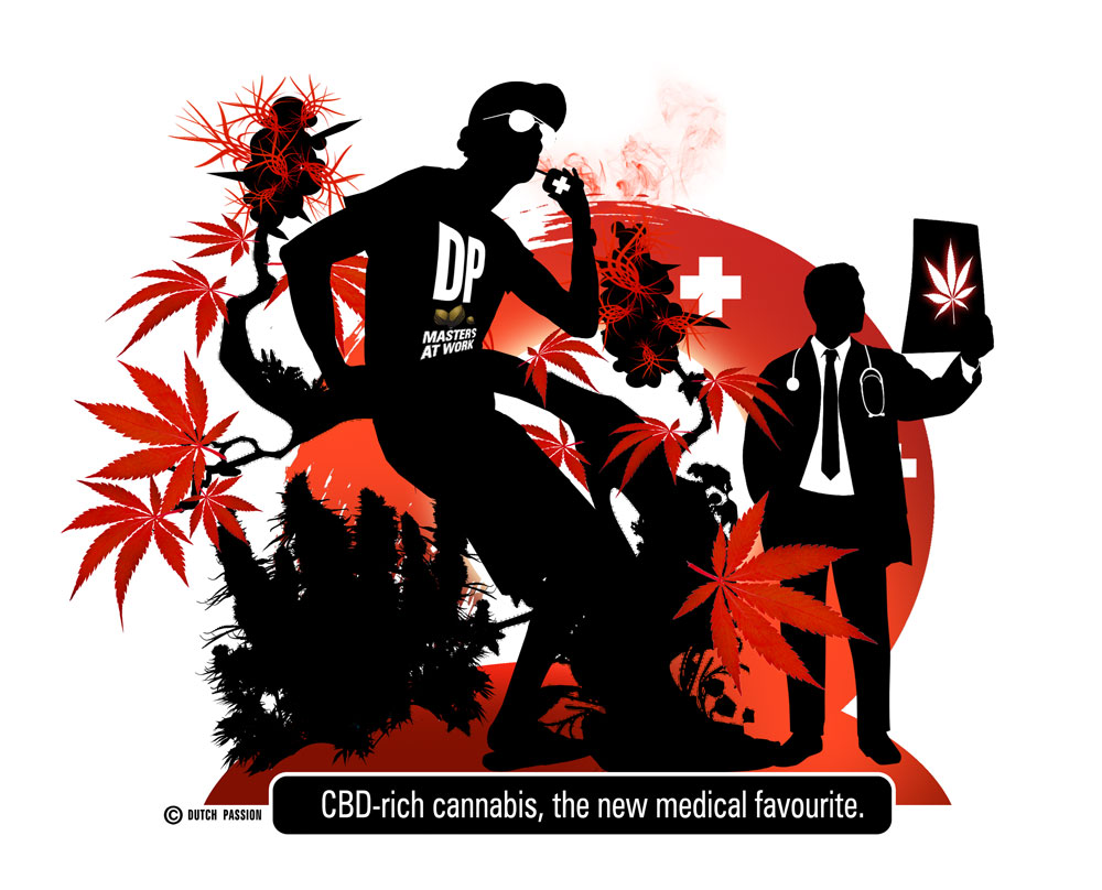 CBD-rich ComPassion cannabis