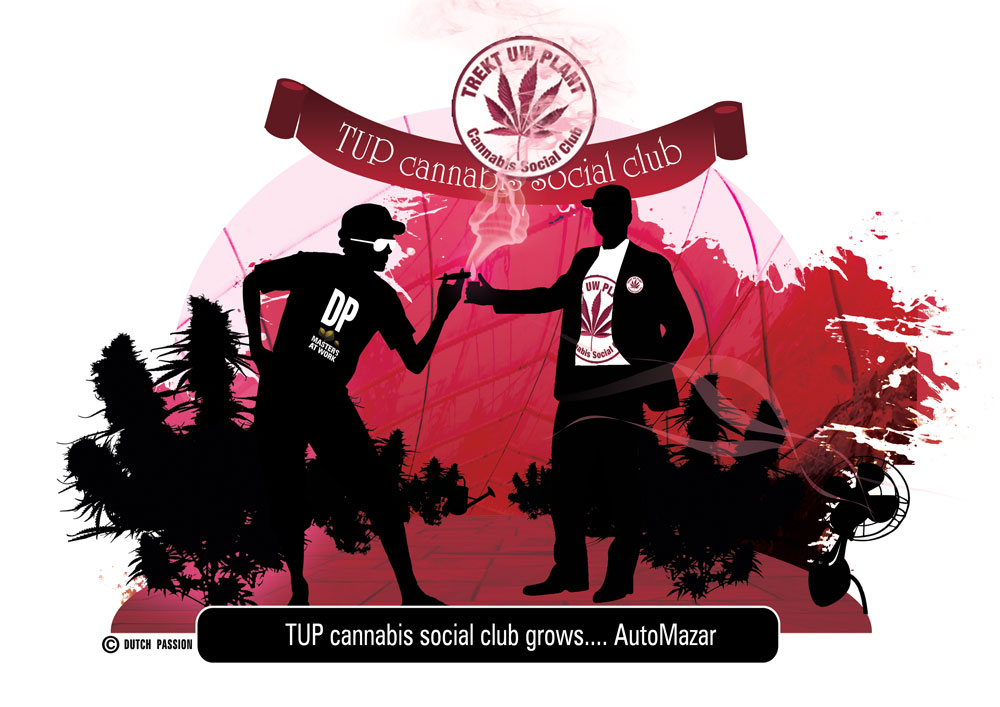 Legal Belgium TUP Cannabis Social Club