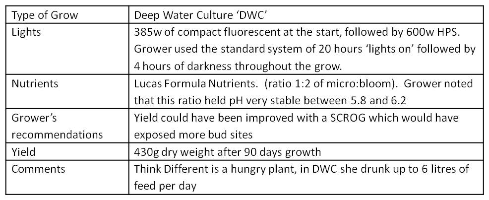 summary table of grow conditions