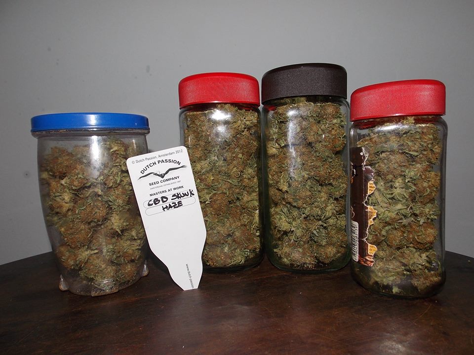 jars of bud