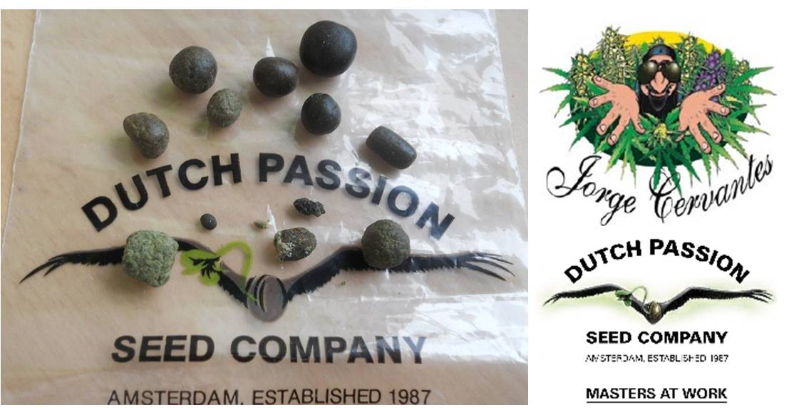 Cervantes hash Dutch Passion