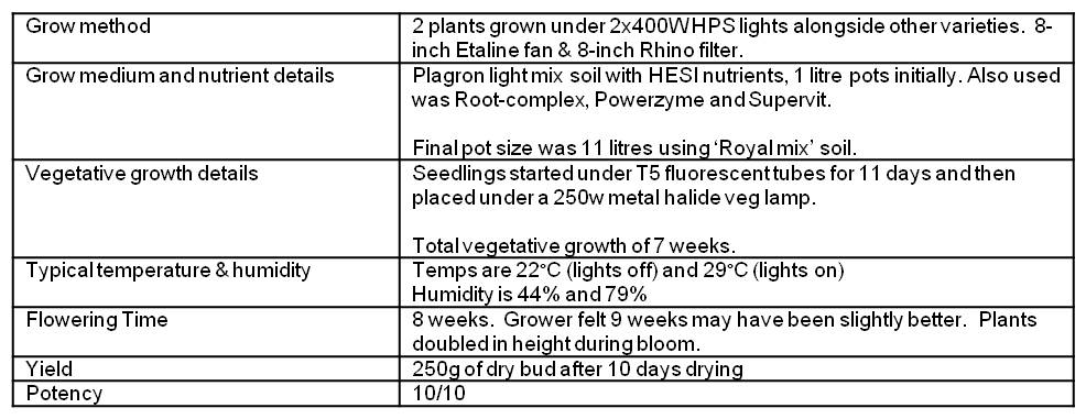 orange bud summary table