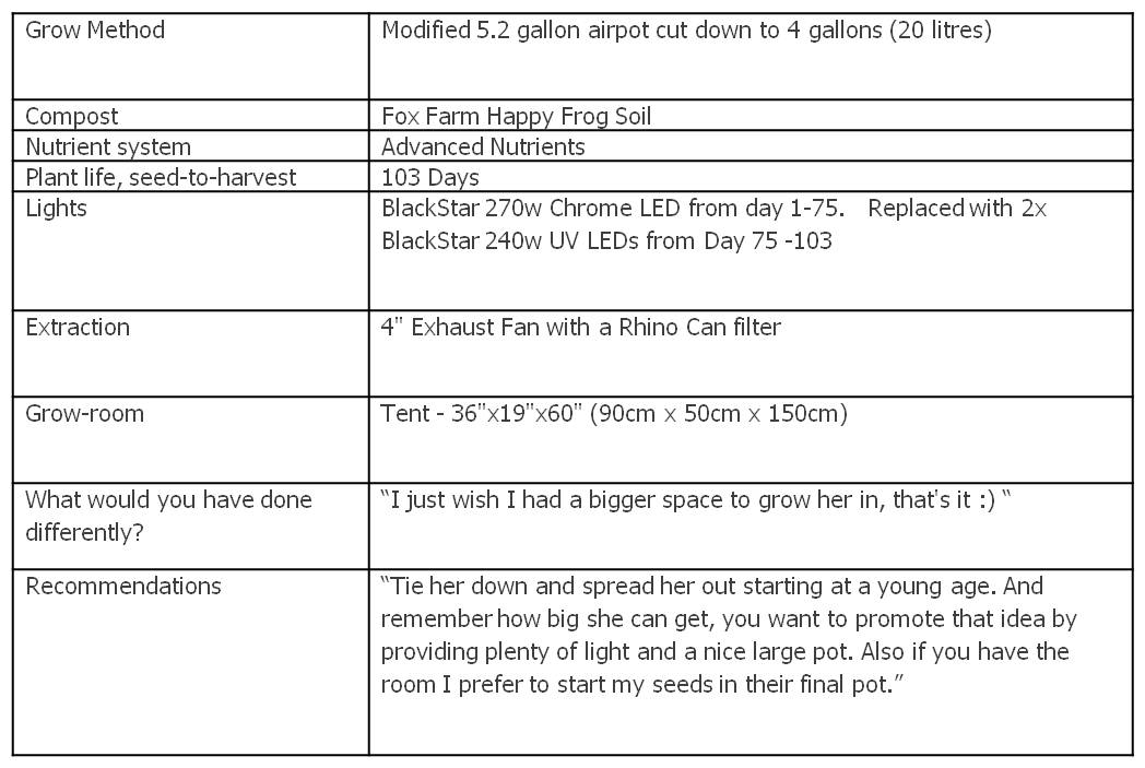 data table from the grow Dutch Passion