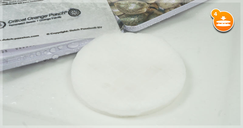 Step 4: Cover the first cotton pad with a second one