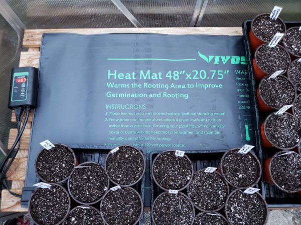 Use heating mats for with caution when germinating cannabis seeds