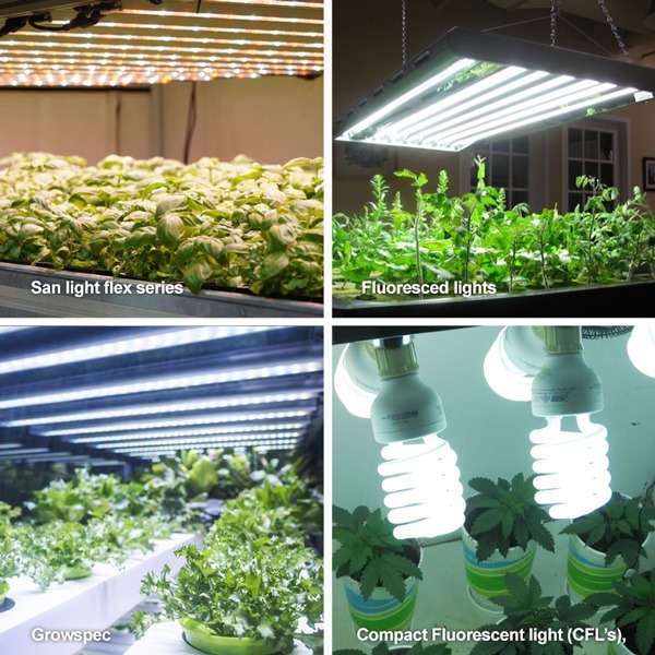 san light flex series vs fluoresced vs growspec vs CFL grow lights