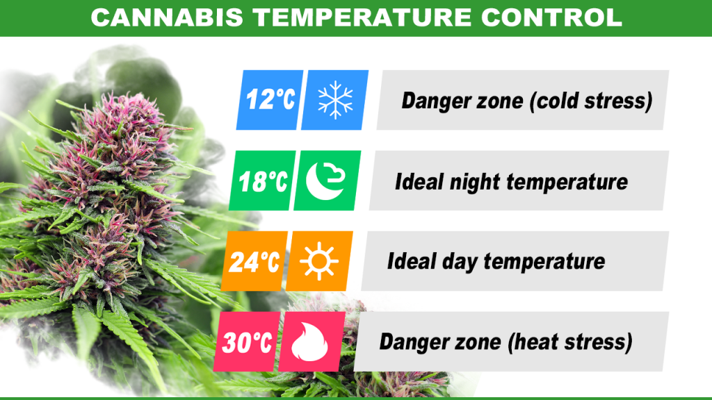 Cannabis Temperature Tutorial