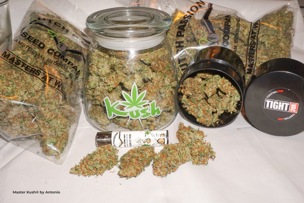Master Kush by Antonio dried flowers cured weed jars nugs nugshot resin trichomes indica strain potent
