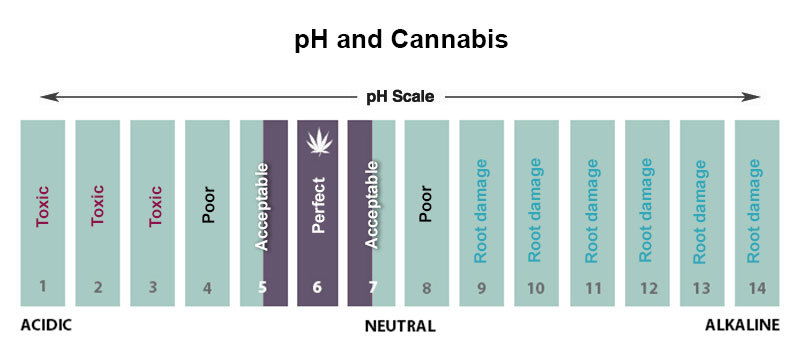 pH and cannabis chart