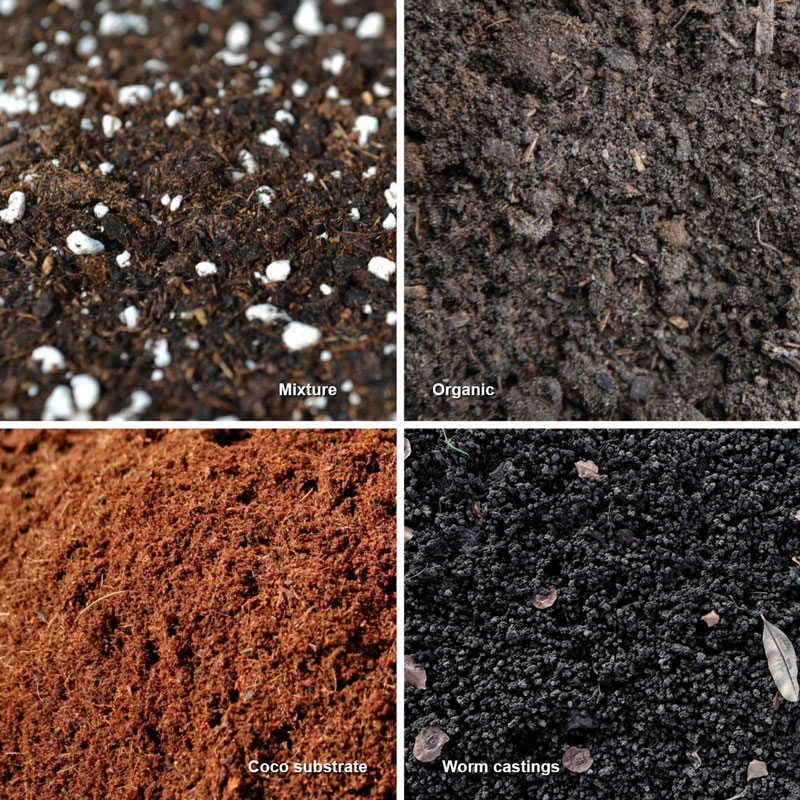 Soil mixture vs organic vs coco substrate vs worm castings for cannabis