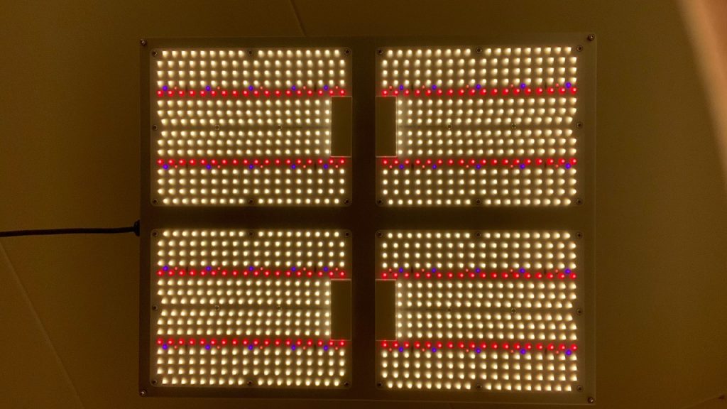 2 x YC-4000 LED panel, approx 450W per panel true power draw. Lights have extra far-red and UV chips added.