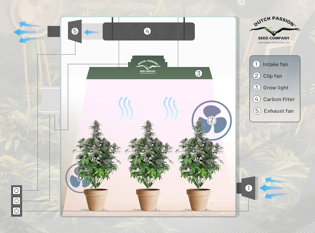 Cannabis grow room ventilation diagram