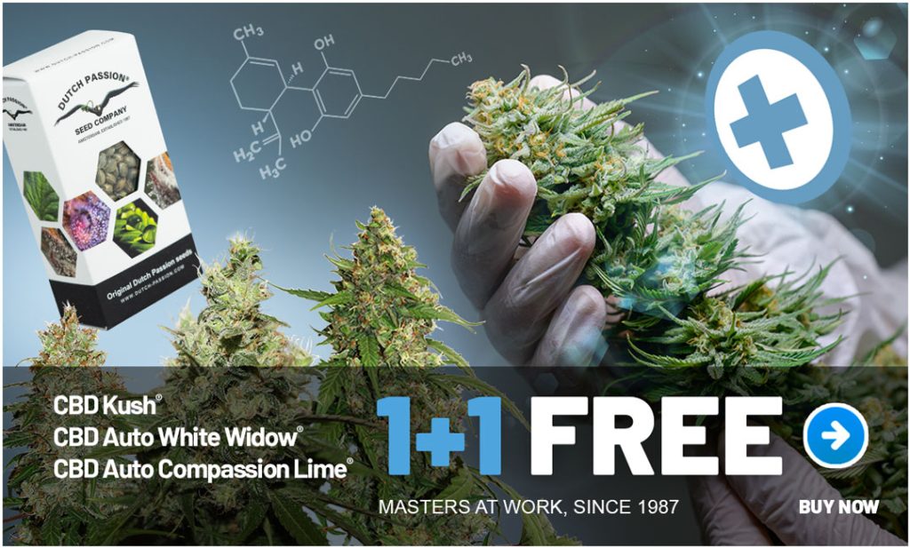 1+1 free CBD rich cannabis seeds promo by Dutch Passion