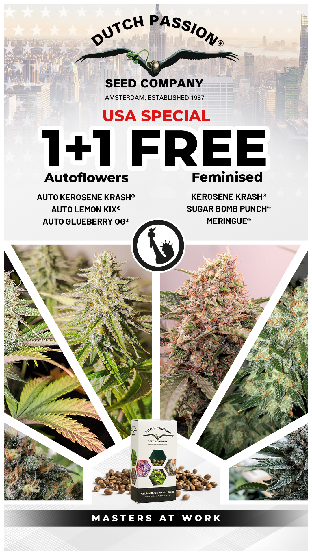 USA Special cannabis seeds promo (1+1 Free)