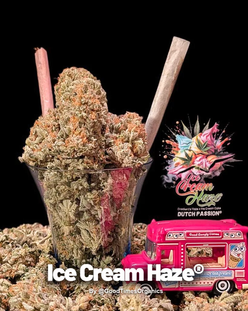Third Place: Ice Cream Haze by GoodTimesOrganics (3)