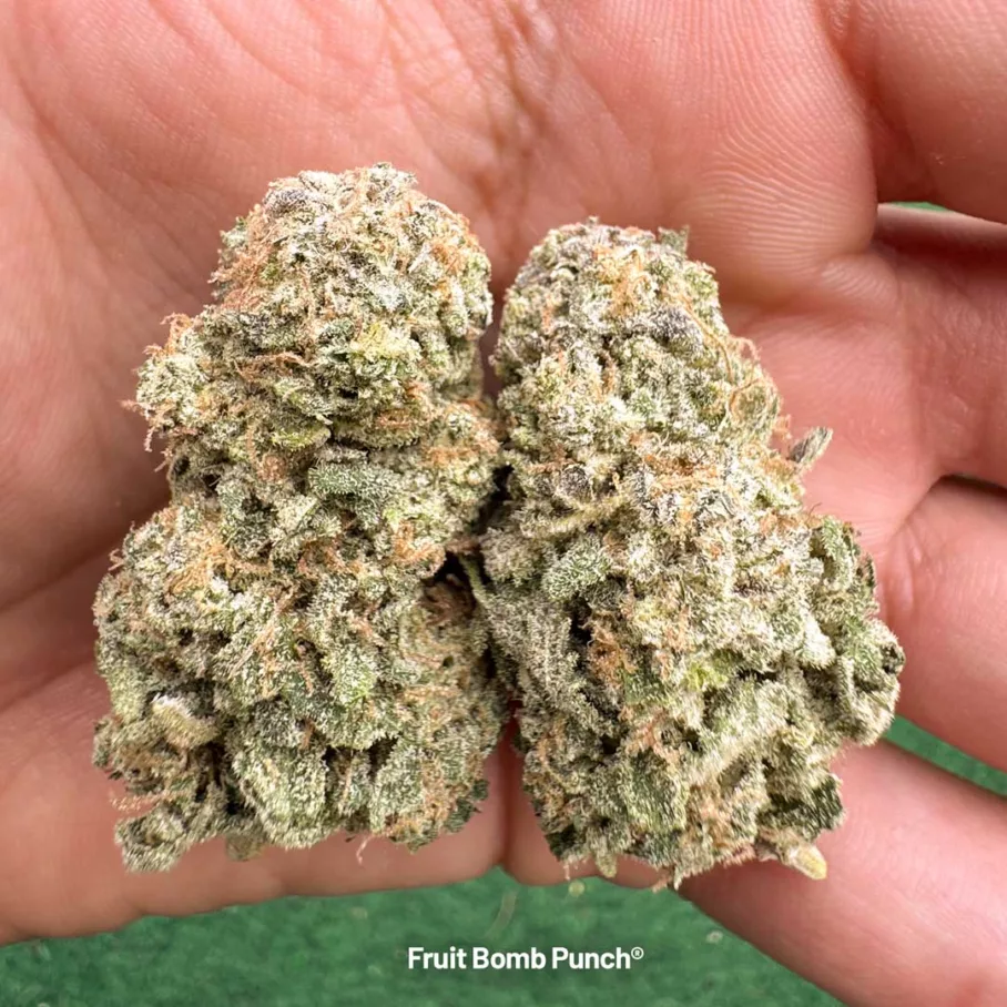 Fruit Bomb Punch chunky trimmed buds by Sidekick Growie