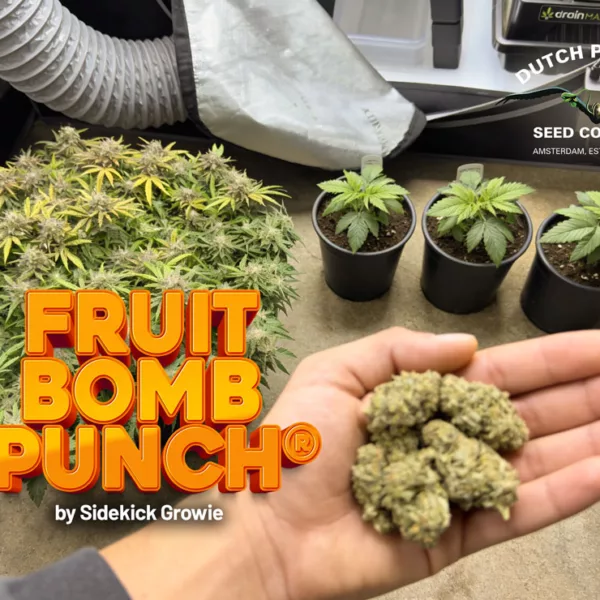 Fruit Bomb Punch 365g-harvest by Sidekick Growie