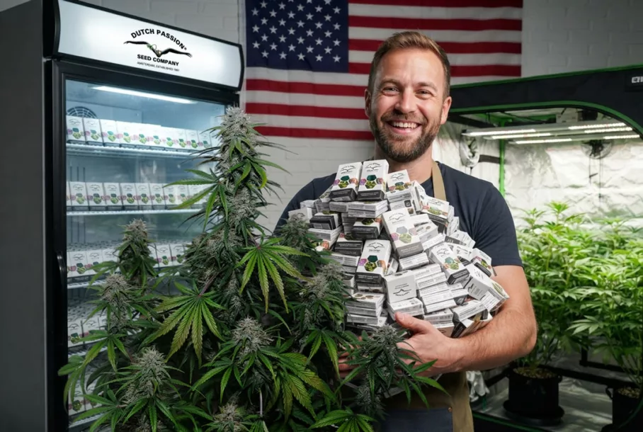 Build your cannabis seed collection for future grows