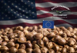 USA: How home growers can prepare for proposed cannabis seed restrictions