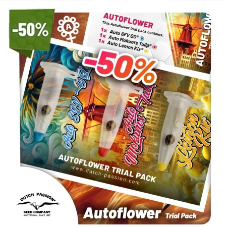 Autoflower seeds trial pack (50% off)