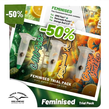 Feminised seeds trial pack (50% off)