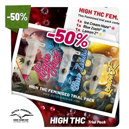 High-THC trial pack (50% off)