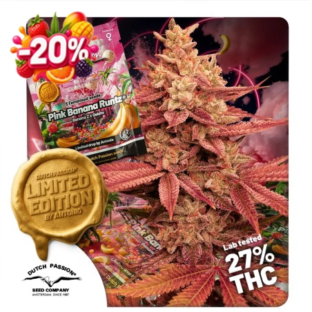 Pink Banana Runtz 20% discount (Summer Fruit Festival)