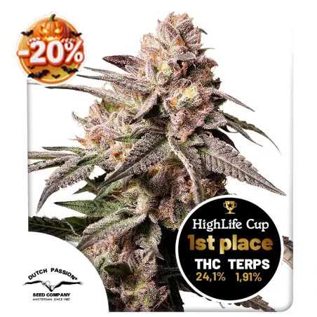 Halloween cannabis seed sale: 20% discount on Slush Mint Cake